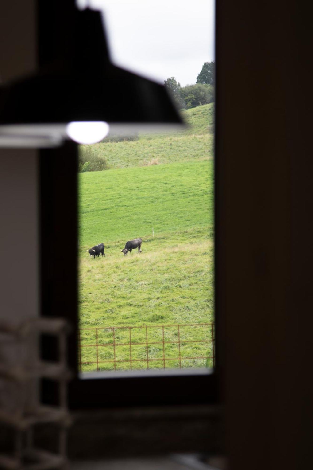 La Huertona De Caviedes Lägenhet Exteriör bild
